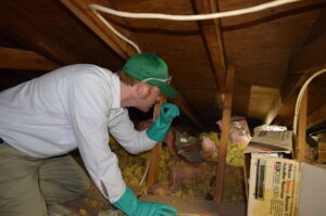 Attic Inspections in Los Angeles